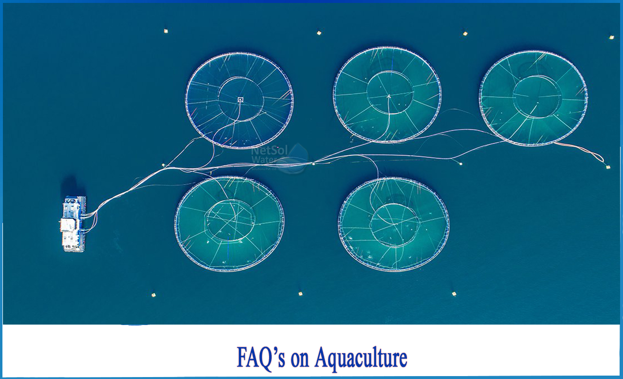 aquaculture questions and answers, how to fish farming in small scale, fish farming with agriculture