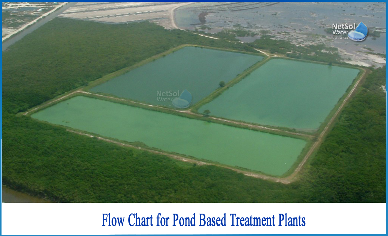 wastewater treatment, what is sewage treatment, what is wastewater, wwtp full form
