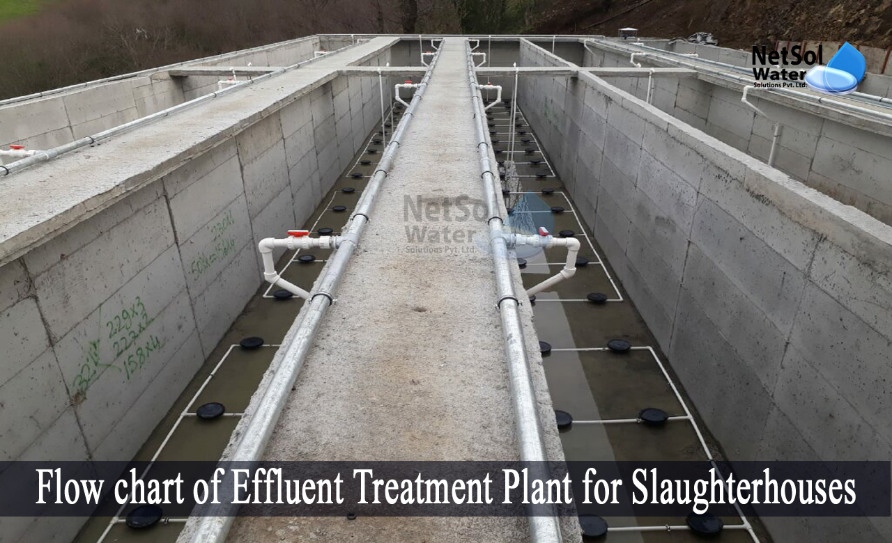etp plant full form, wastewater treatment, stp plant, what is sewage treatment