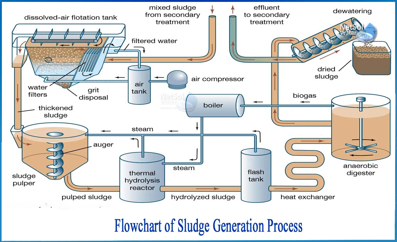 sludge treatment process flow diagram, activated sludge process with flow diagram, activated sludge process steps