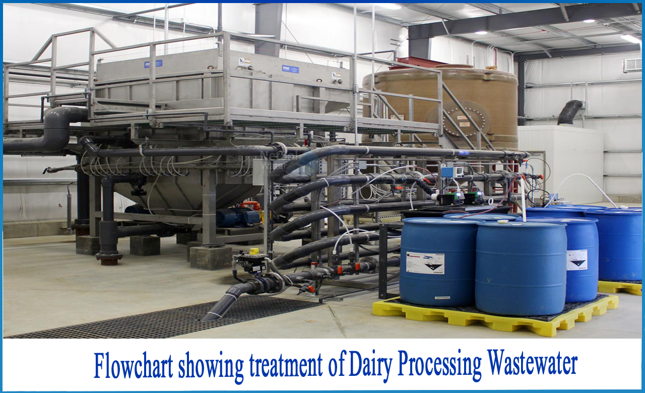 effluent treatment plant in dairy industry, wastewater treatment in dairy industry, dairy waste management