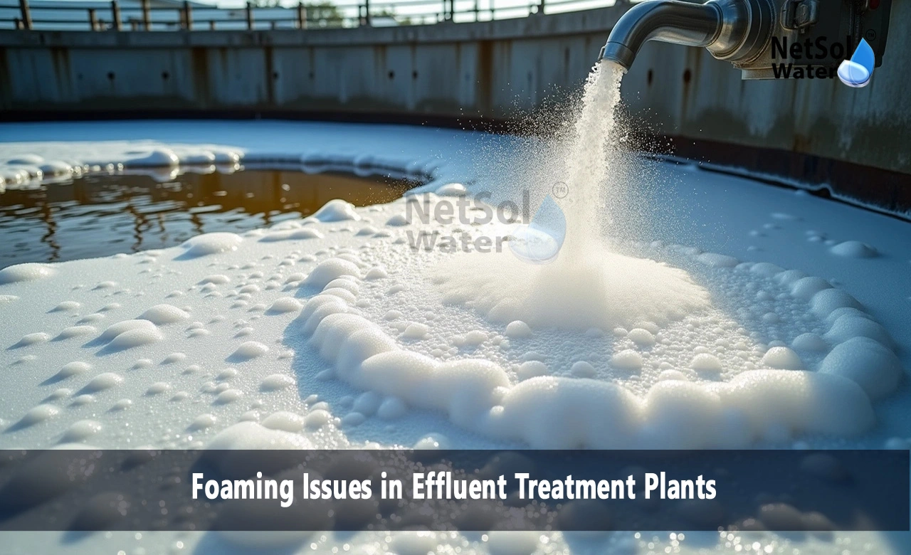 What causes foaming in wastewater treatment plants, How to remove foam from wastewater, Solutions for Foaming Issues in Effluent Treatment Plants