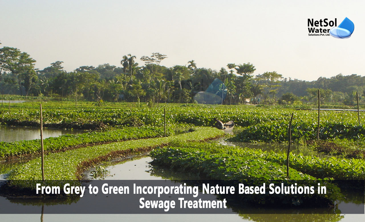 Incorporating Nature-Based Solutions in STP