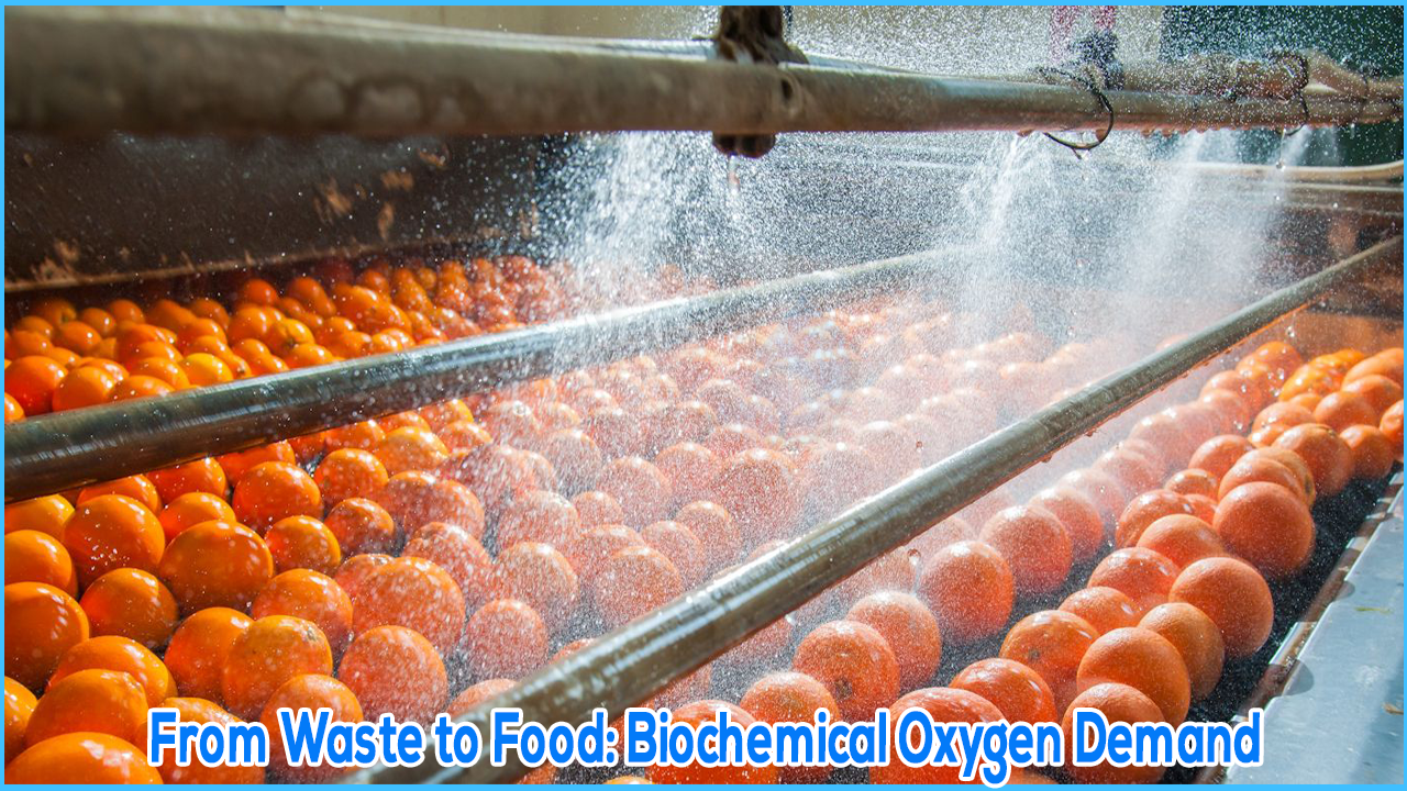 From Waste to Food: Biochemical Oxygen Demand