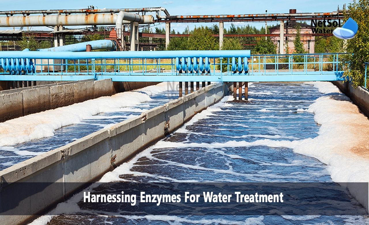 Harnessing enzymes for water treatment, enzymes used in wastewater treatment, function of enzymes in waste management