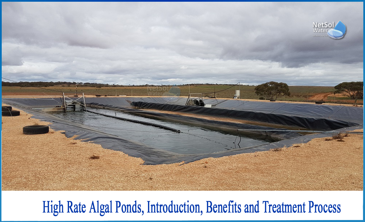high rate algal ponds, introduction, benefits and treatment process