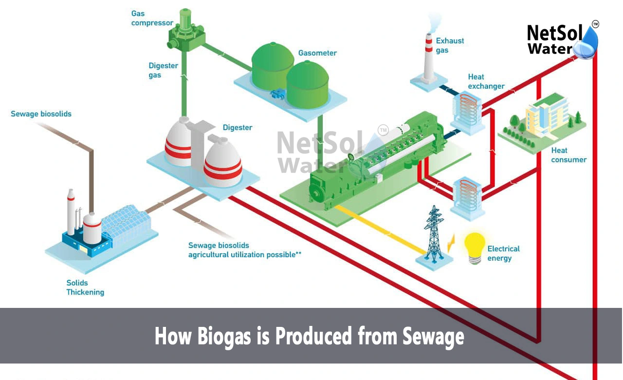 How to make biogas from sewage, How is biogas produced from wastewater, Biogas Production from Sewage Treatment