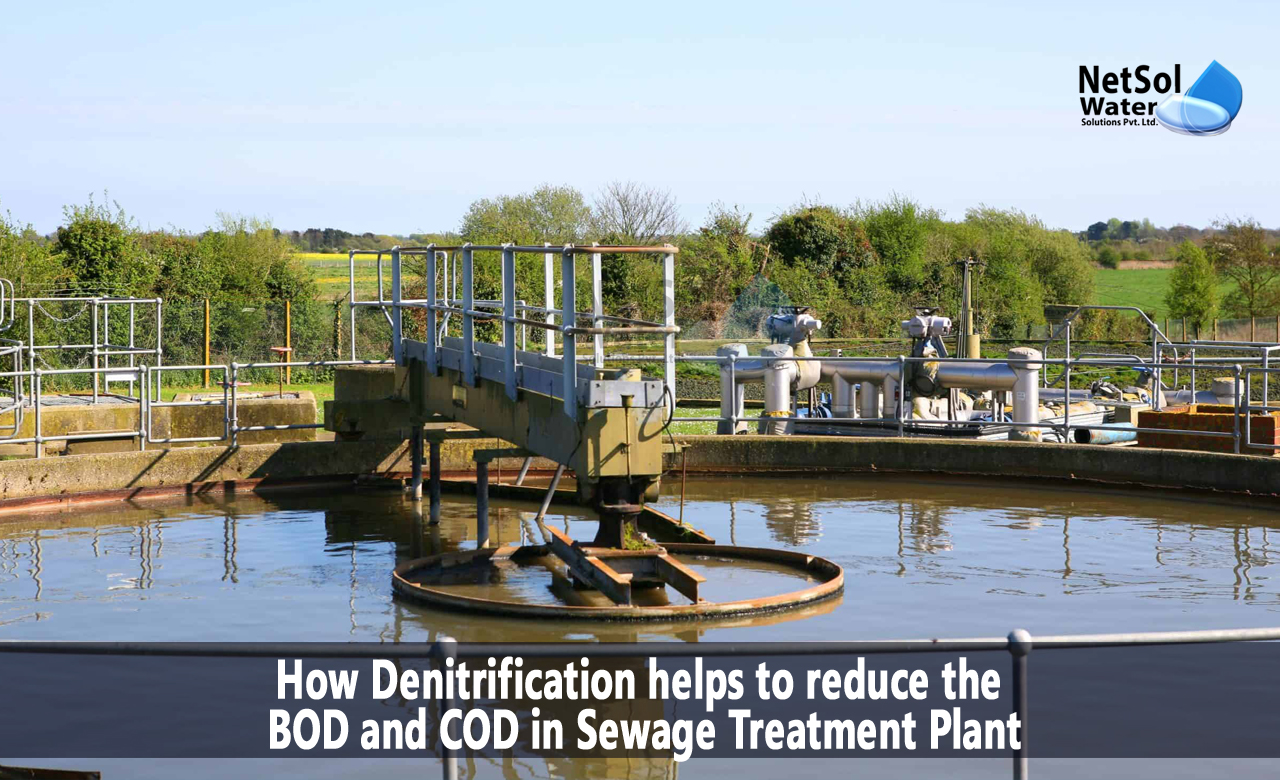 What is Denitrification, Denitrification Process, How Denitrification helps to reduce the BOD and COD in STP Plant