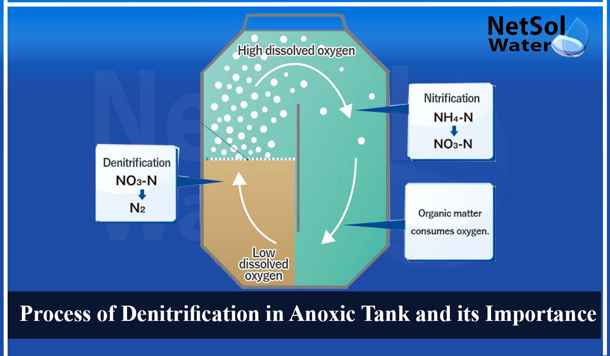 Denitrification process in Anoxic Tank, Denitrification process chemical reaction, importance of denitrification