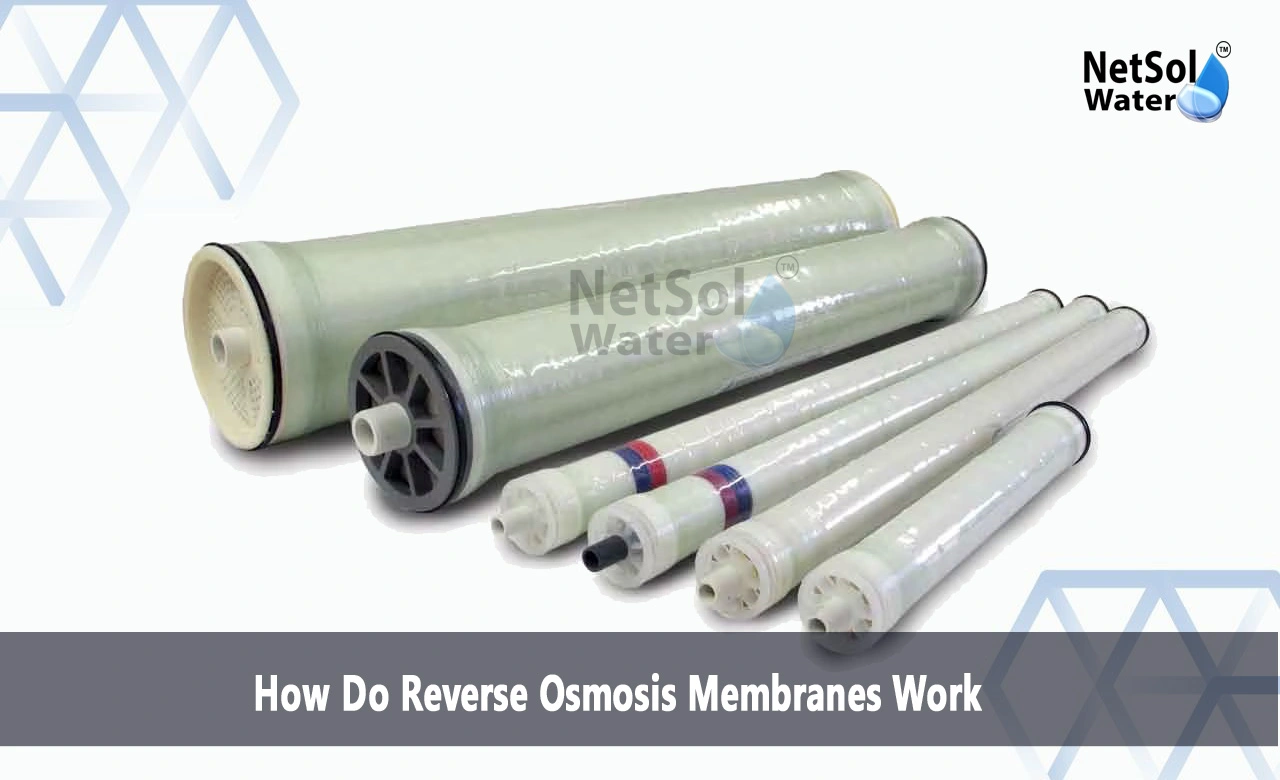 How does the membrane work in the reverse osmosis process, What is the working principle of reverse osmosis, What is the inside of the RO membrane