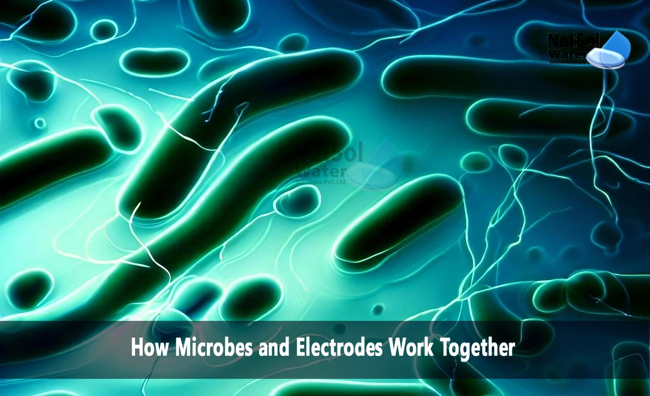 How microbes and electrodes work together in bacteria, microbial electrochemical technology, Microbial Electrochemical Wastewater Treatment