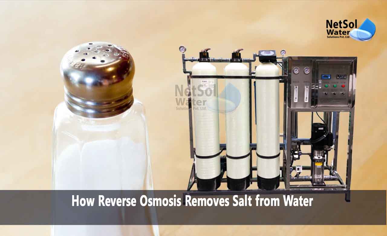 How Reverse Osmosis Removes Salt from Water