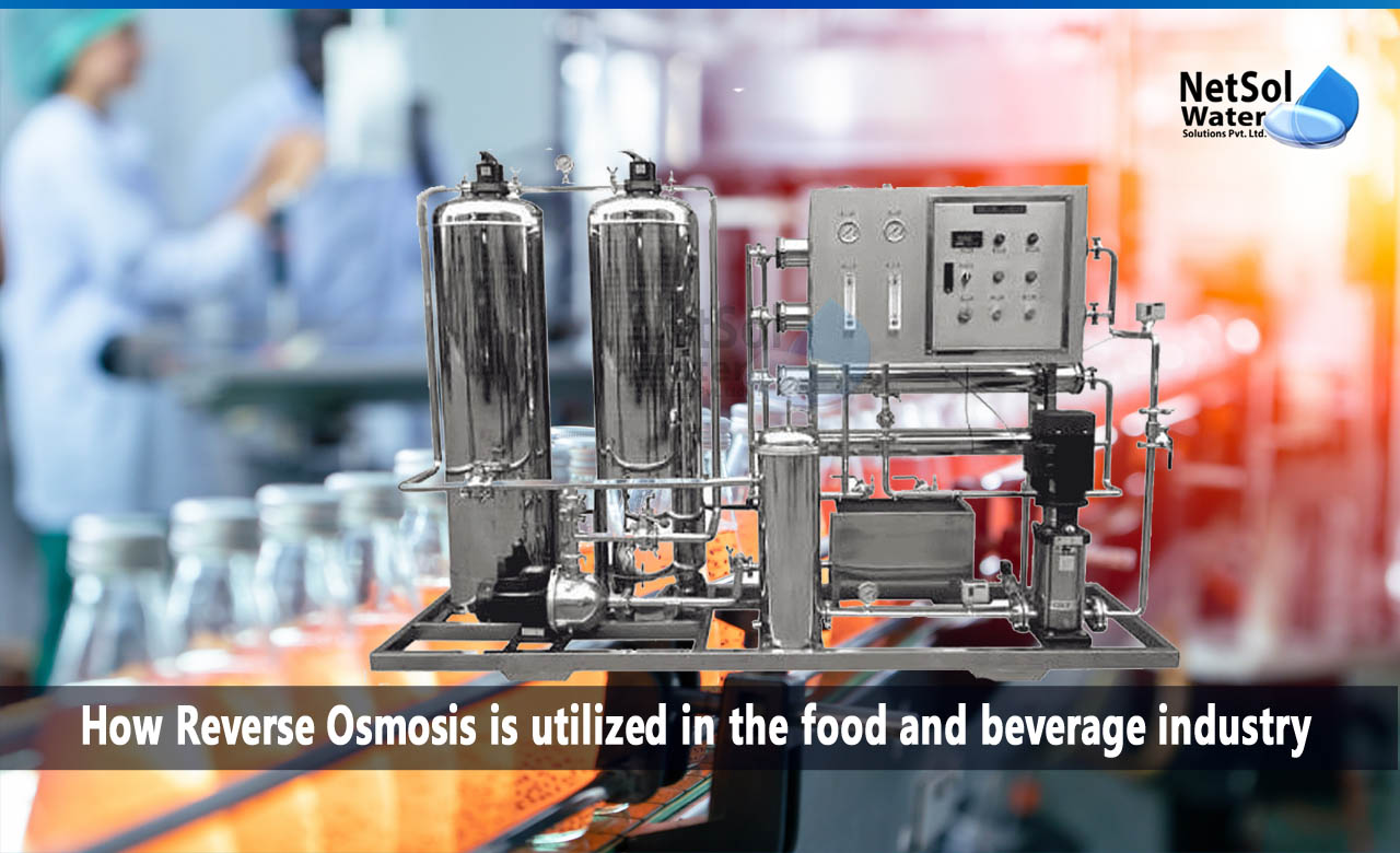 Reverse Osmosis in Food and Beverage Industry
