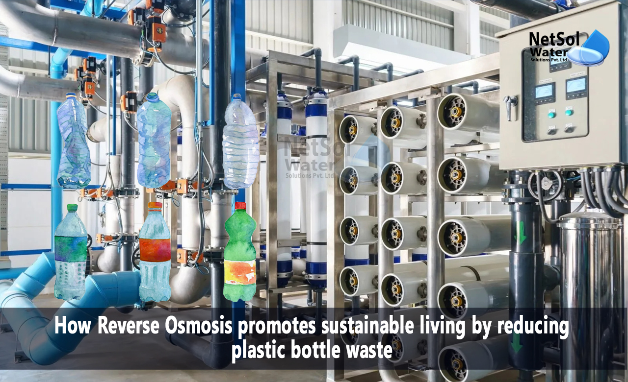 Reverse Osmosis for Sustainable Living
