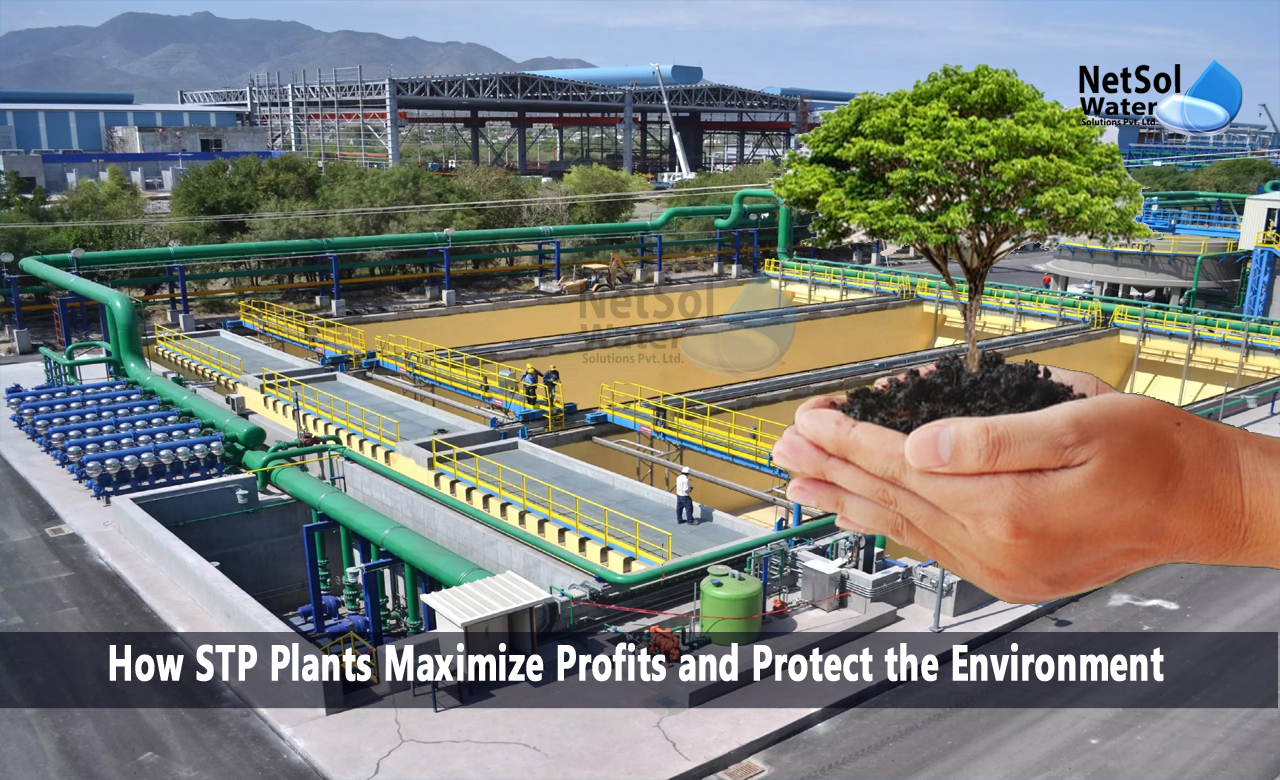 How STP Plants Maximize Profits and Protect the Environment