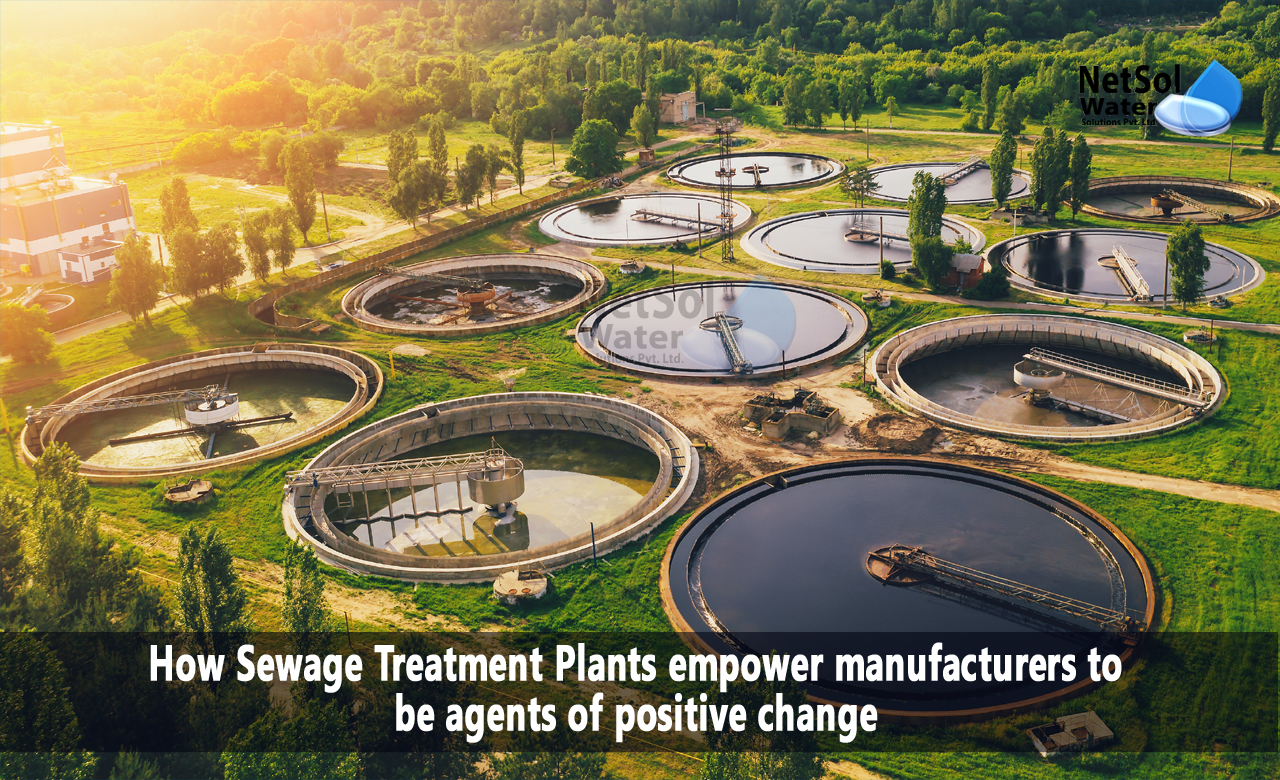 How STP Plants empower manufacturers to be agents of positive change