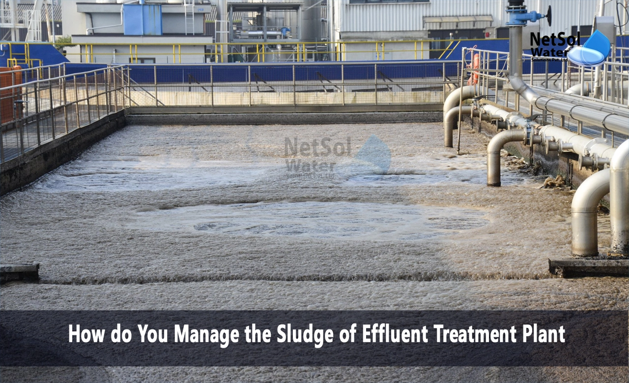 How do you reduce sludge in ETP, How do you manage sludge, How is sludge treated at wastewater treatment plant