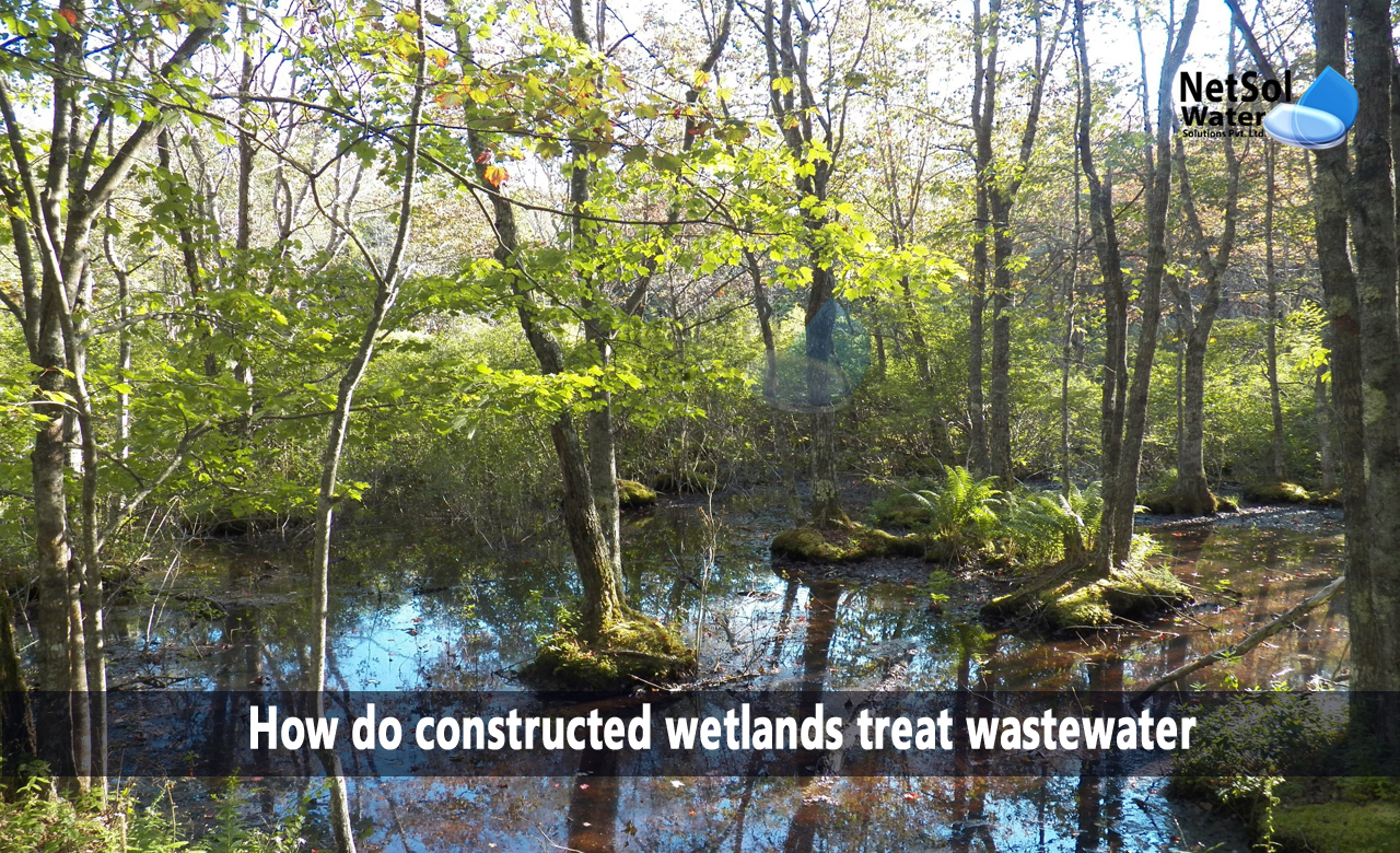Objectives of wastewater treatment in constructed wetlands, Common mechanisms of constructed wetland