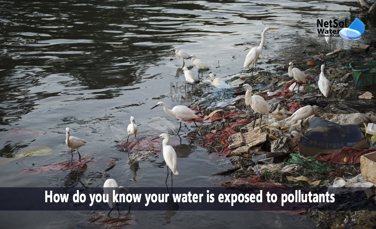 causes of water pollution, types of water pollution, effects of water pollution