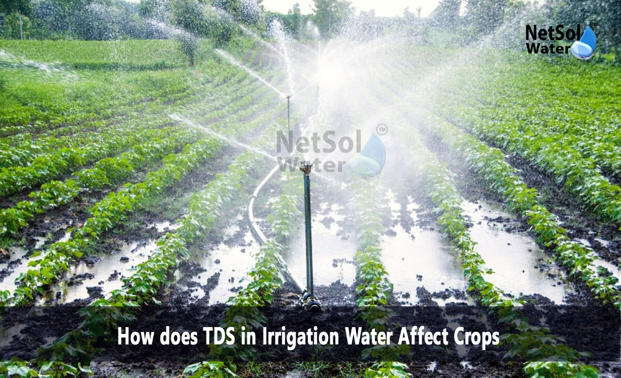 Irrigation water quality standards in India, Acceptable TDS for irrigation water, How much TDS in water is good for agriculture