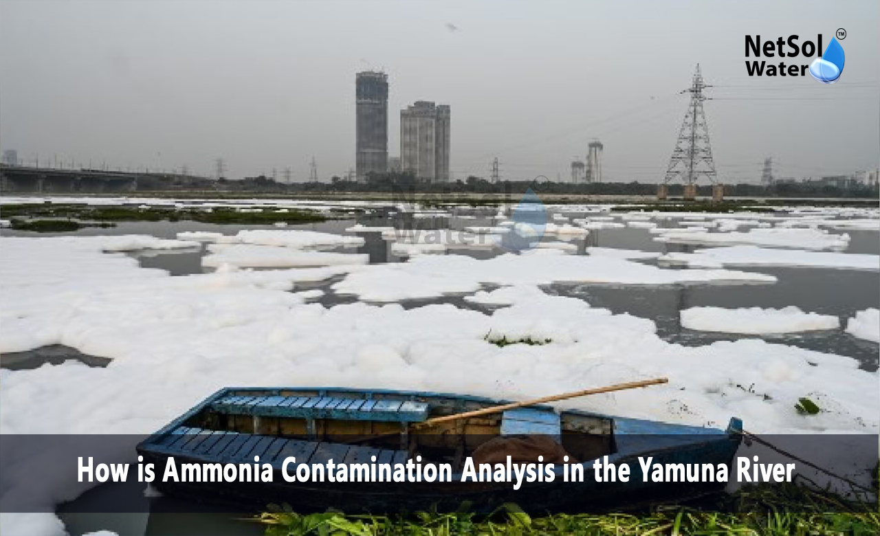 Ammonia Contamination Analysis in the Yamuna River, What is the ammonia level of Yamuna River, How does ammonia contaminate water