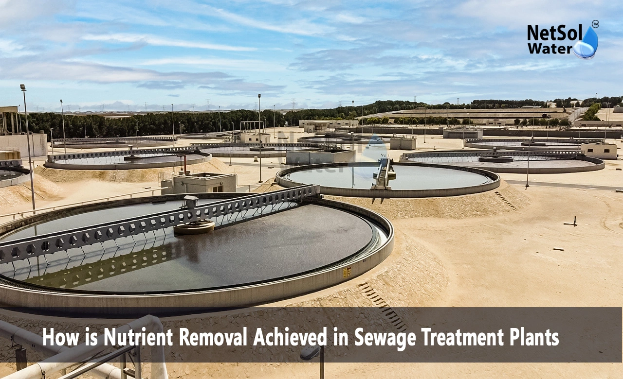 How are nutrients removed in sewage treatment, How is nutrient removed by plants, What is the sewage treatment process for nitrogen removal
