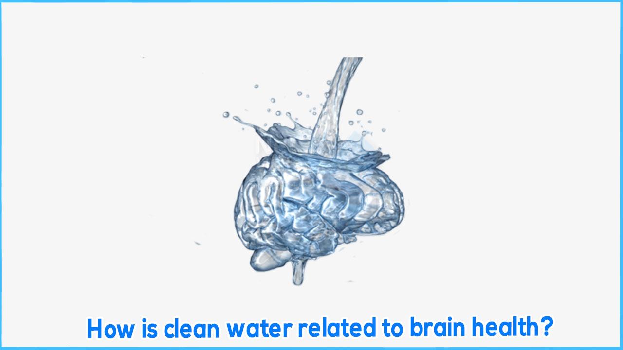 How is clean water related to brain health?