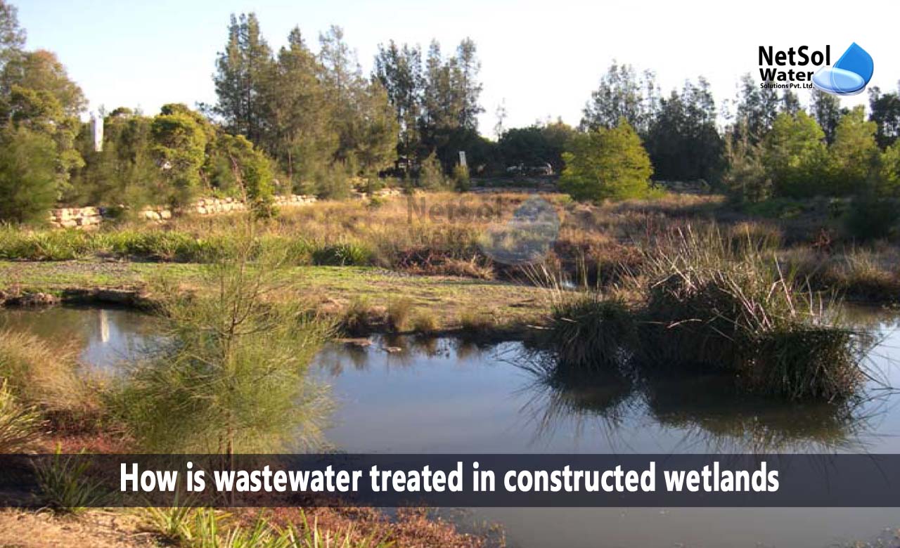What are constructed wetlands, Features of constructed wetlands, Benefits of constructed wetlands