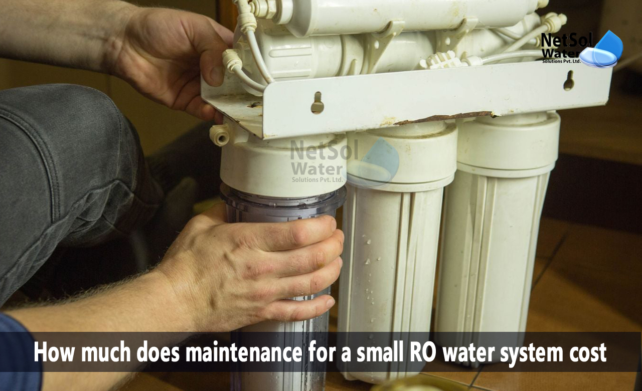 How much does maintenance for a small RO water system cost, RO water purifier's maintenance, 