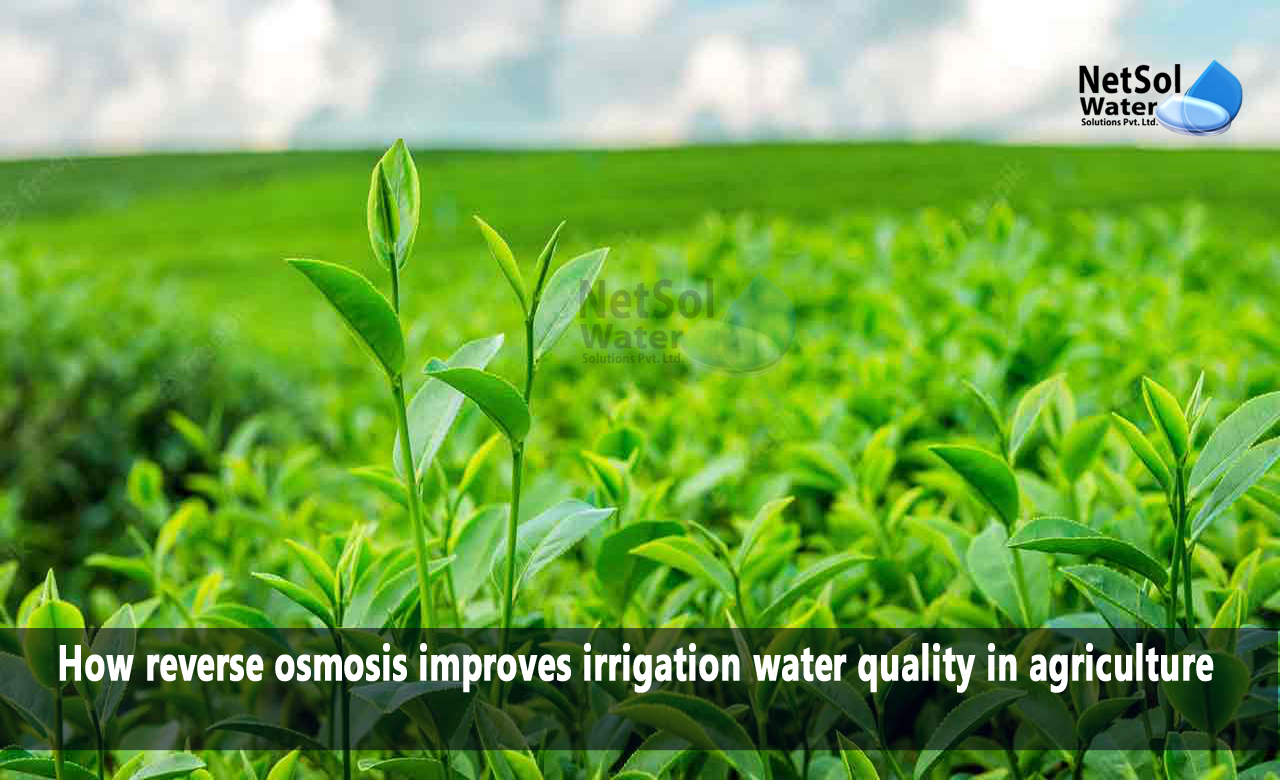 Considerations for Implementing Reverse Osmosis in Agriculture, Benefits of Reverse Osmosis in Agriculture