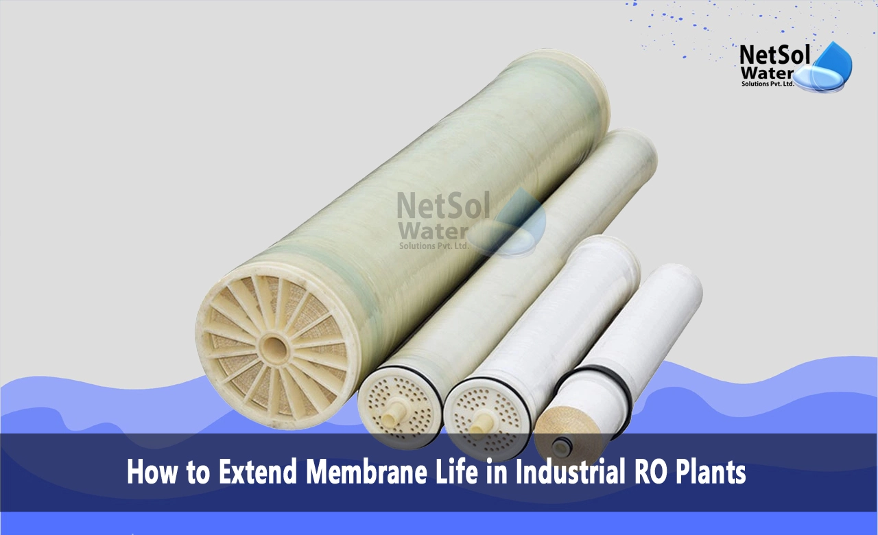 How can I increase the life of my RO membrane, What is the life of industrial RO membrane, How do you clean an industrial RO membrane