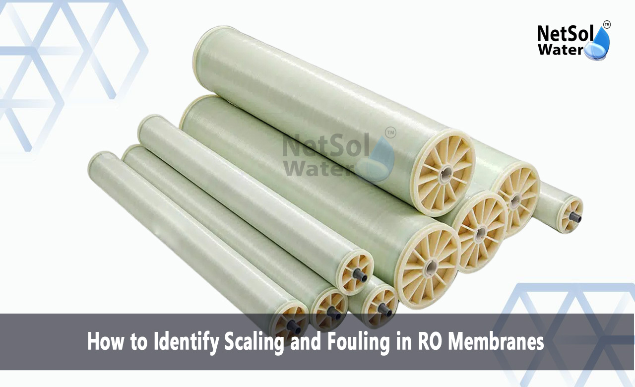 Fouling and scaling on membrane filtration, Common Types of Membrane Fouling, Scaling and Fouling of Reverse Osmosis