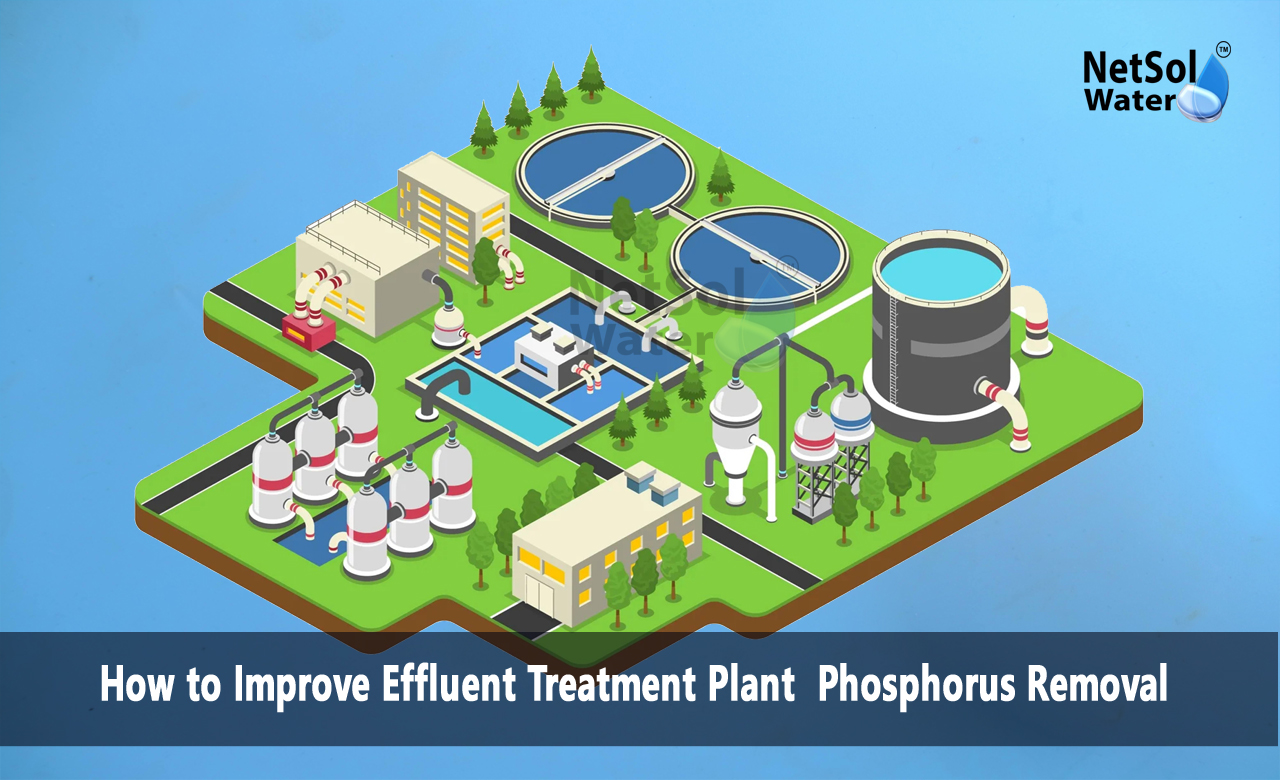 How do you reduce phosphorus in effluent, How do you reduce phosphorus toxicity in plants, How to Remove Phosphorus from Wastewater
