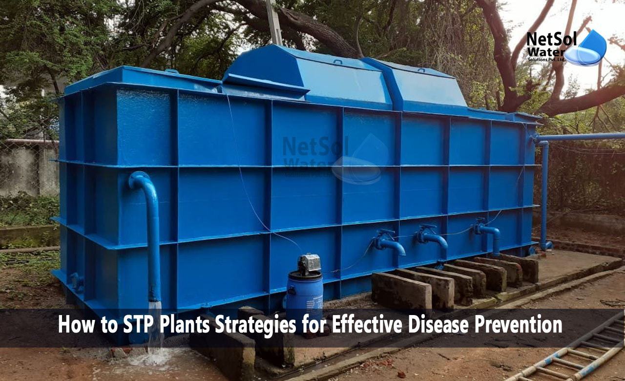 How to STP Plants Strategies for Effective Disease Prevention