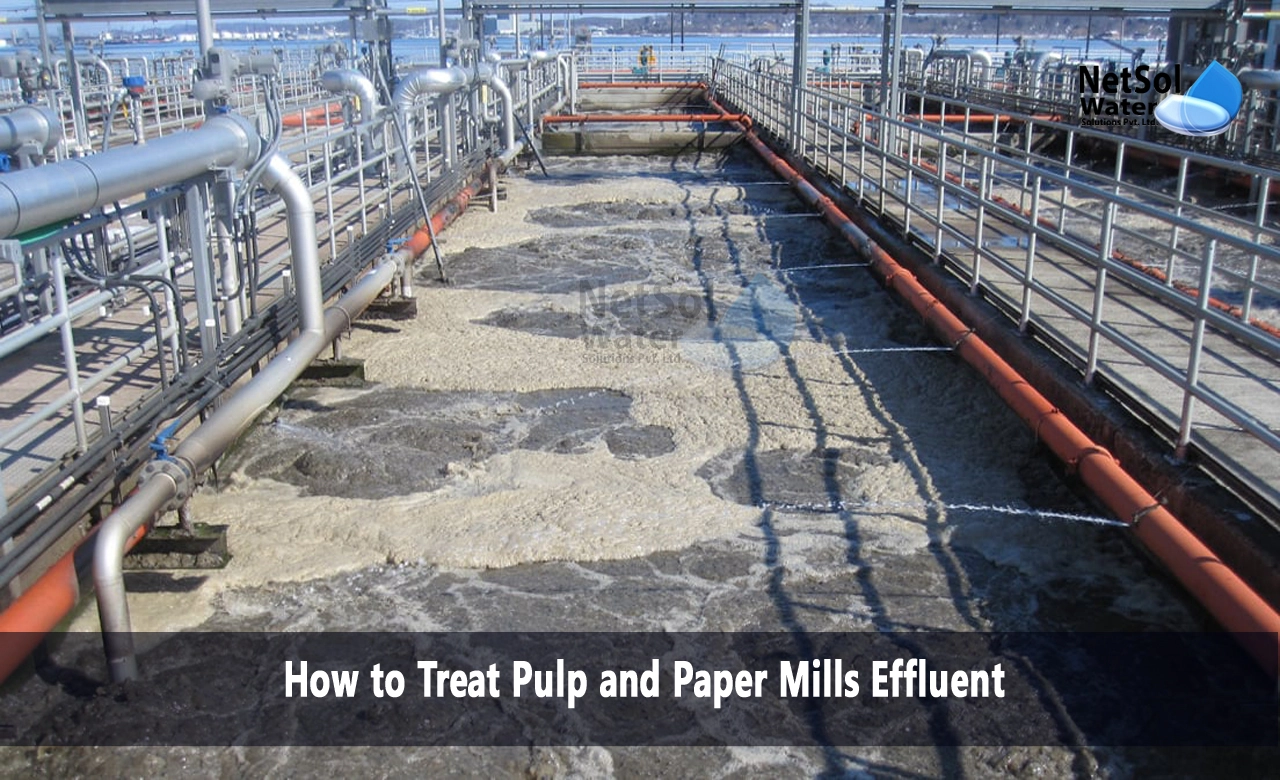 Pulp and Paper Mill Effluent, Effluent Treatment for Pulp and Paper Mills