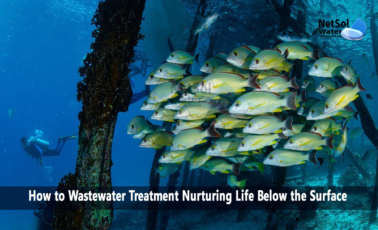 How to Wastewater Treatment Nurturing Life Below the Surface