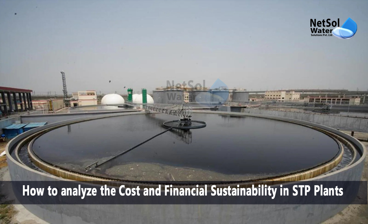 How to analyze the Cost and Financial Sustainability in STP Plants, Analysis of Costs and Financial Sustainability
