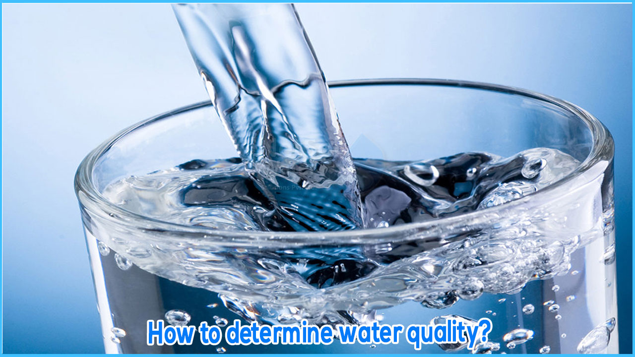 Water Quality: What are the main indicators of water quality?