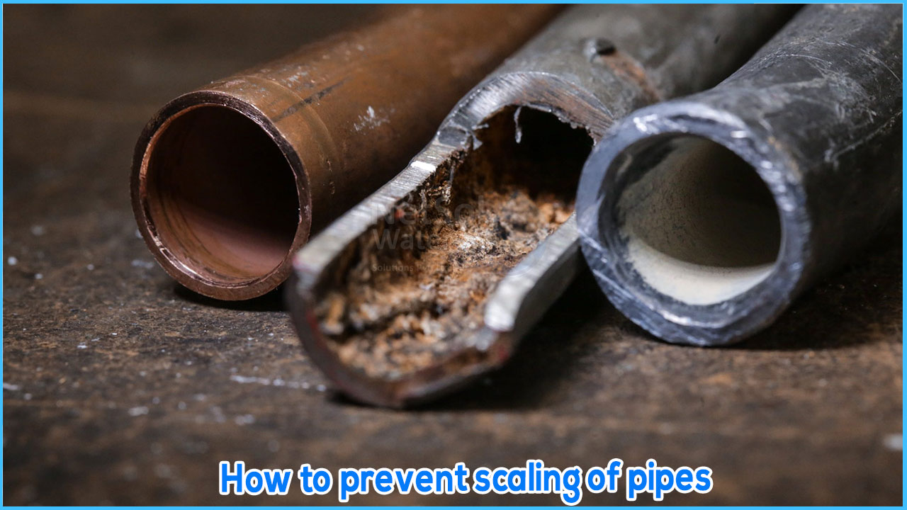 How to prevent scaling of pipes?, How can Netsol help?