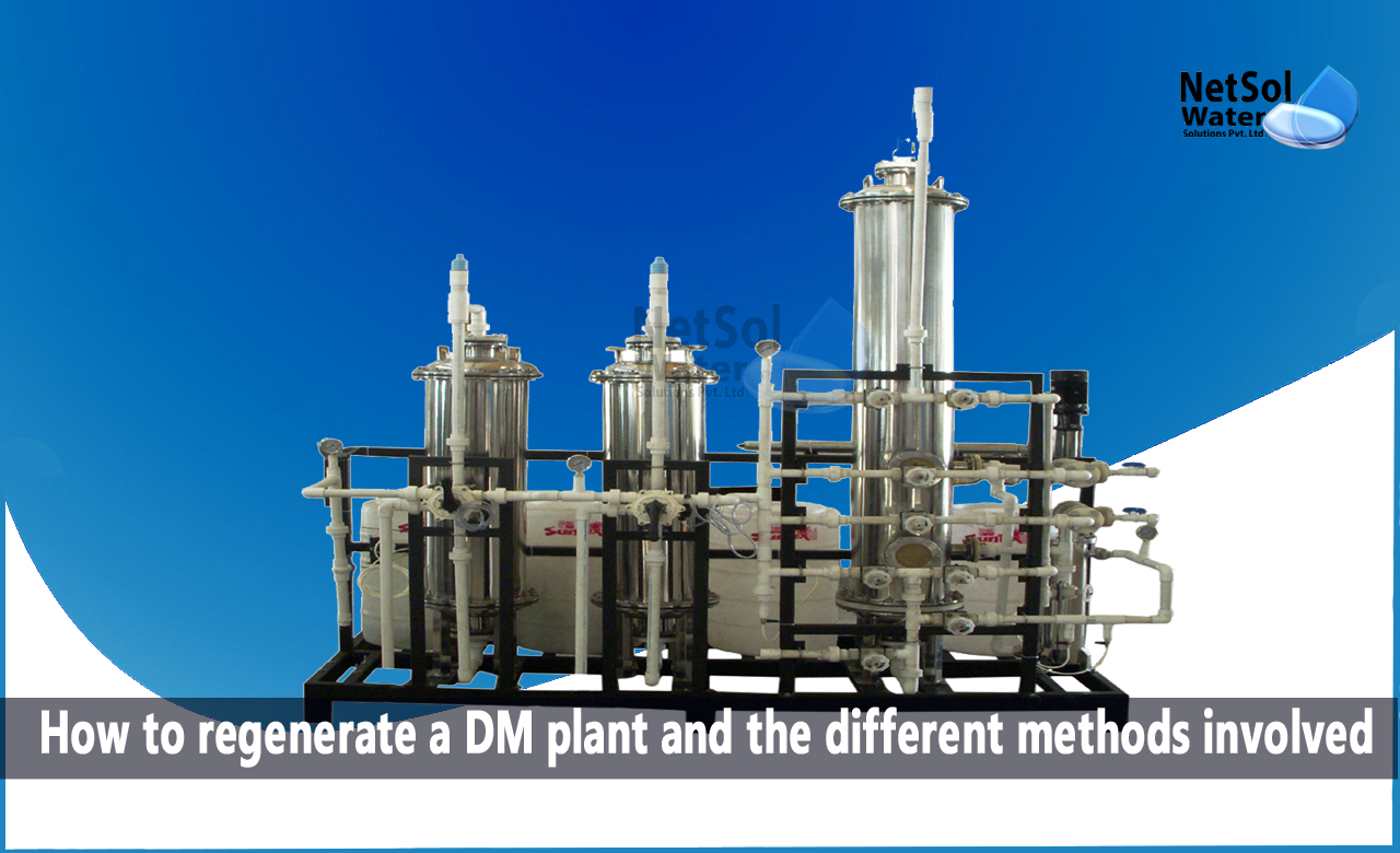 dm plant regeneration process, dm plant regeneration calculation, how to make dm water