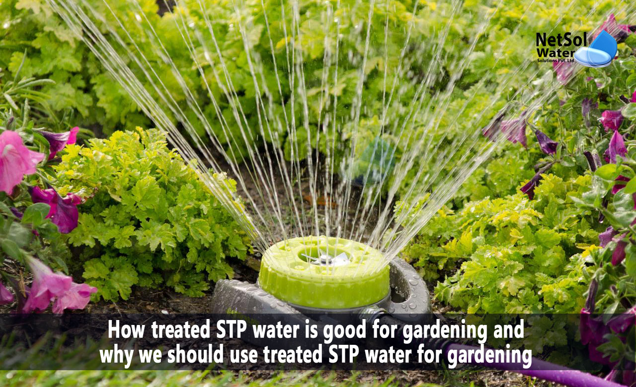 Why we should use treated STP water for gardening, The Advantages of Using Treated STP Water in Your Garden, The Use of Treated STP Water for Gardening