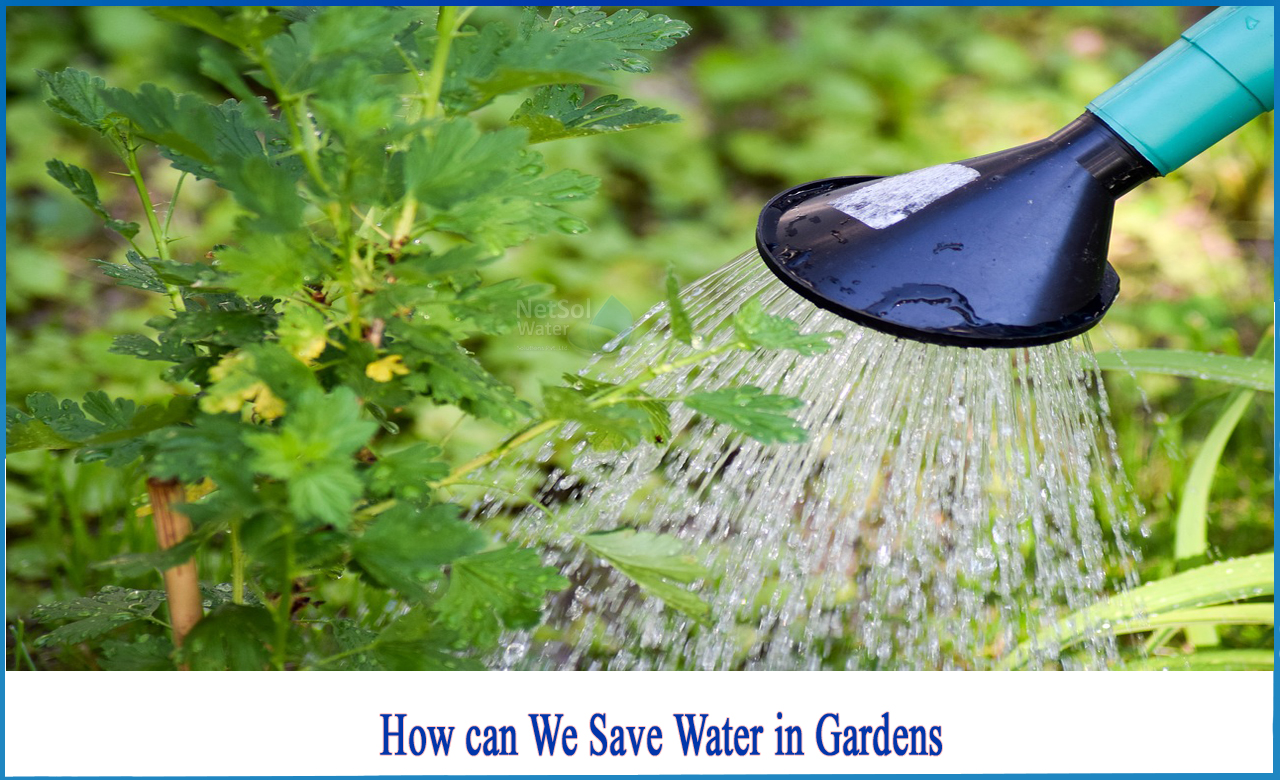 how can you reduce the use of water maintaining your garden, how will you minimize the use of water in garden, water saving ideas for the garden