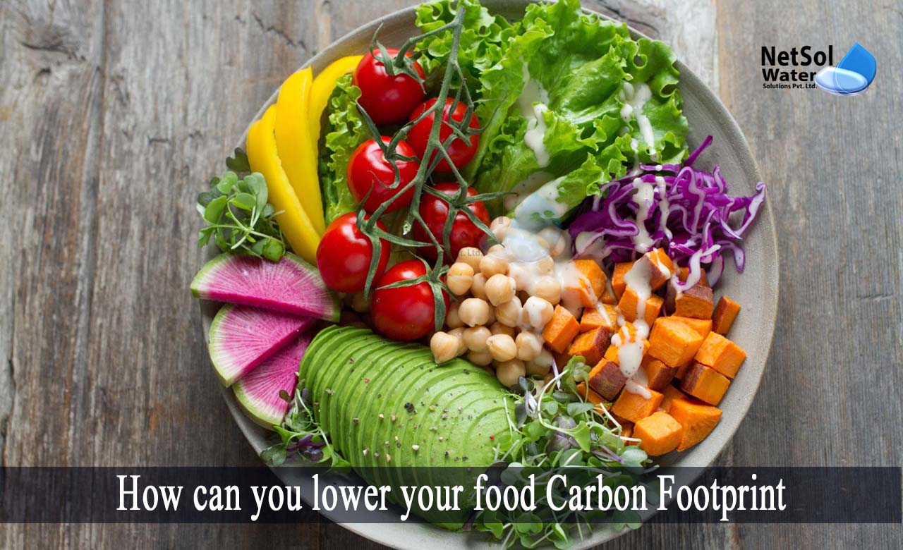 10 simple ways to reduce your carbon footprint, food Carbon Footprint, how to reduce food carbon footprint