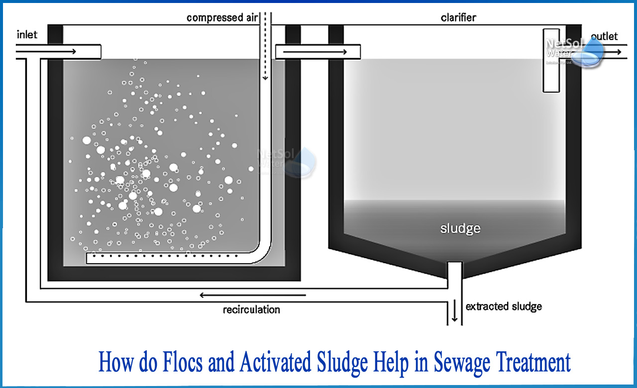 what is the difference between flocs and primary sludge, how is sewage harmful to man, flocks in the sludge 