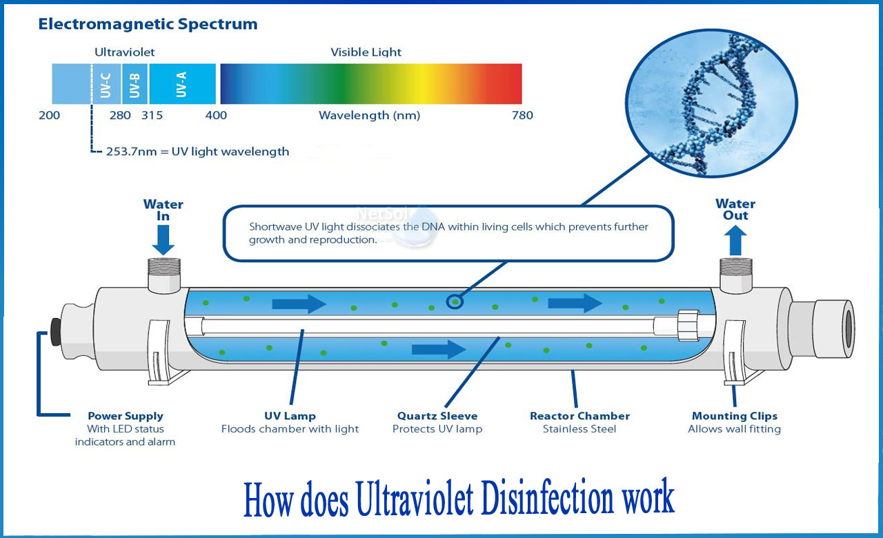 How Does Ultraviolet Disinfection Work Netsol Water