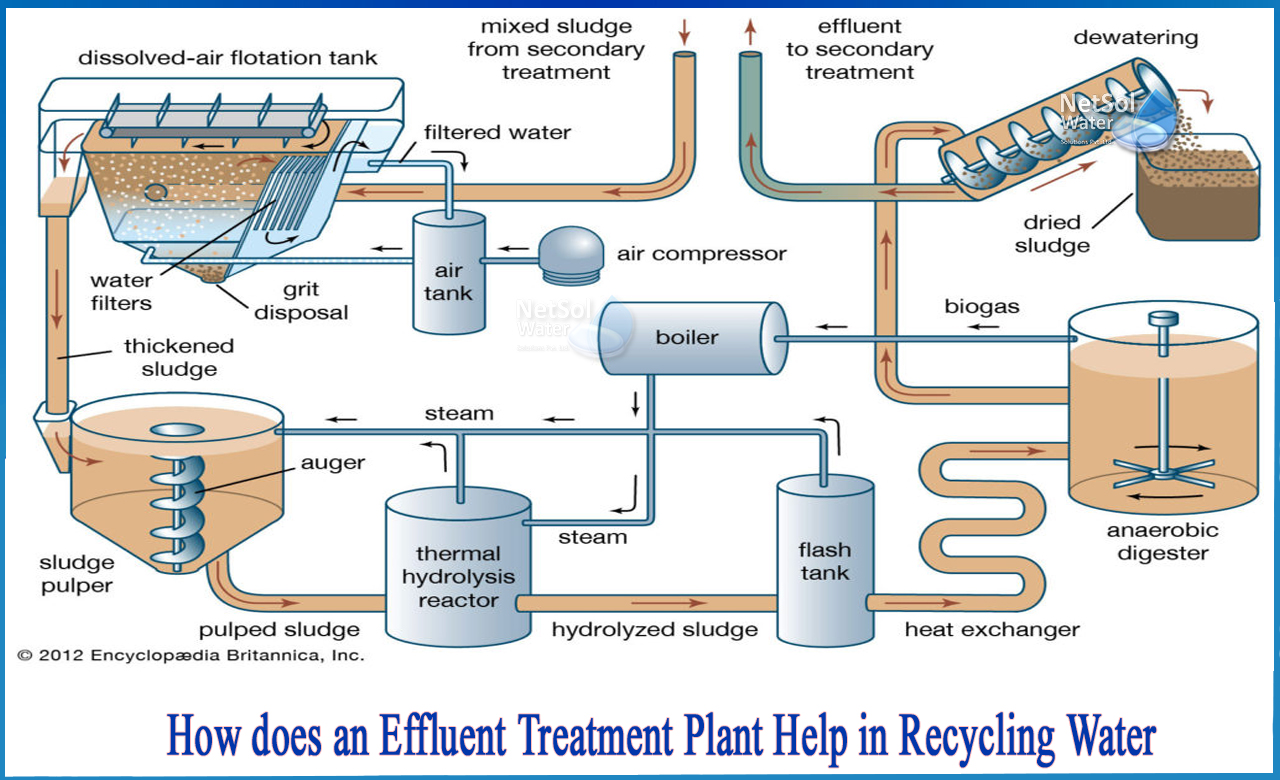 wastewater to drinking water process, why do you think recycled water is such a contentious issue, importance of wastewater treatment