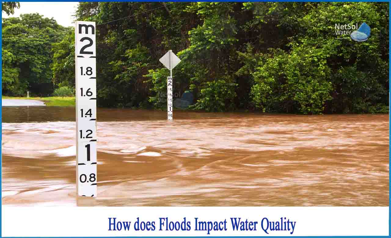 how do floods affect aquatic life, effect of flood on water pollution, drinking flood contaminated water causes, impact of flood