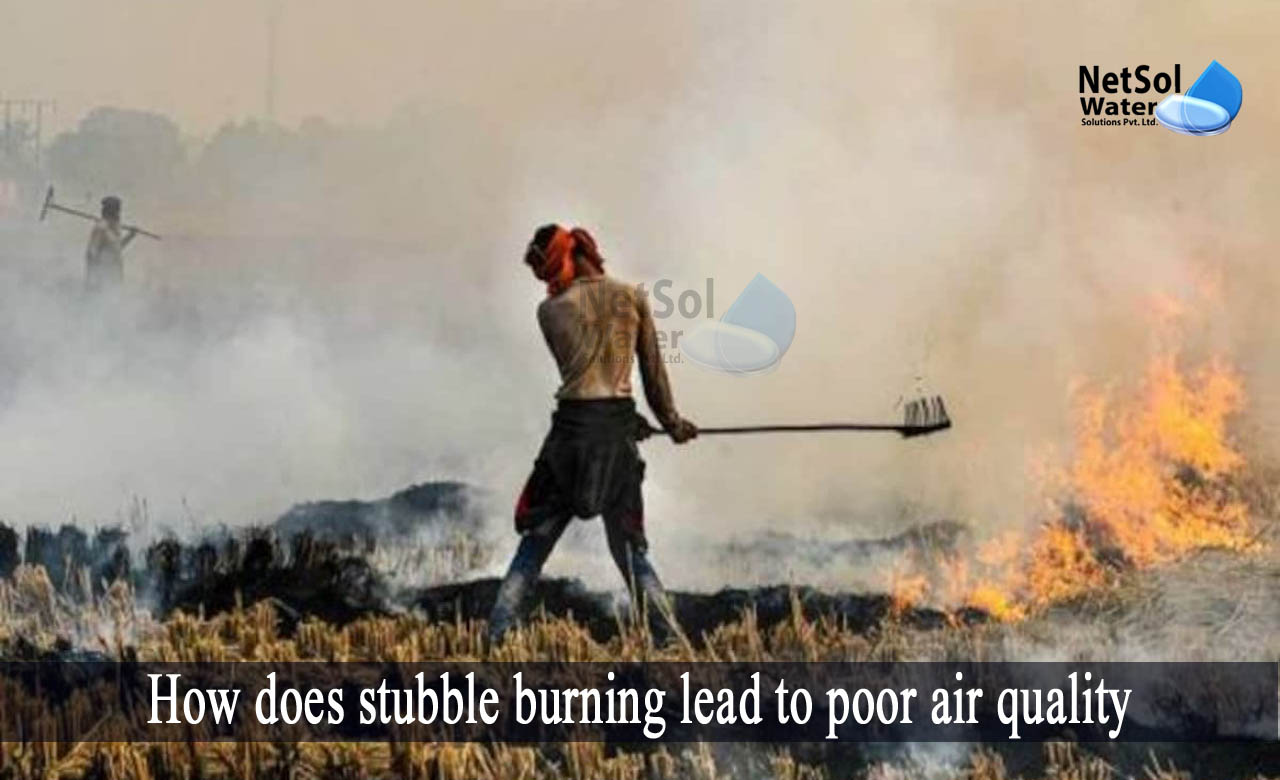 how is stubble burning harmful, stubble burning causes air pollution, stubble burning effects on environment