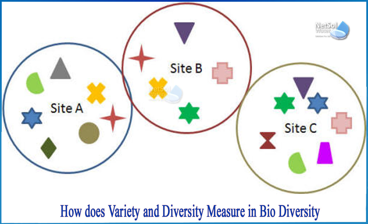 levels of biodiversity, convention on biological diversity, biodiversity topics for presentation