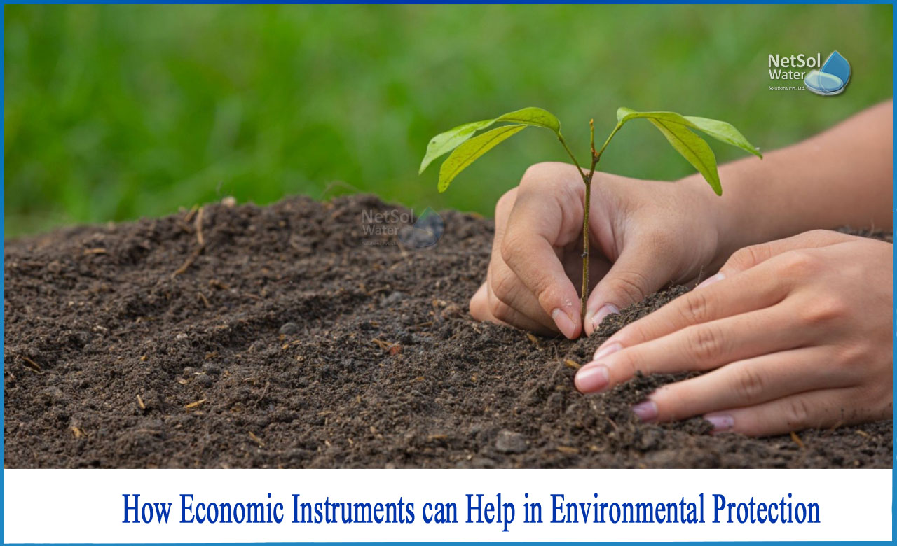 what are economic instruments in environmental management, economic instruments for pollution control, types of economic instruments